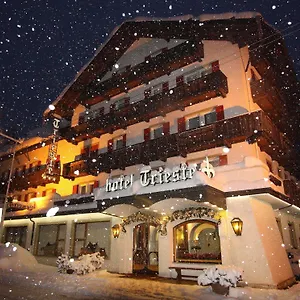 3* Hotel Trieste